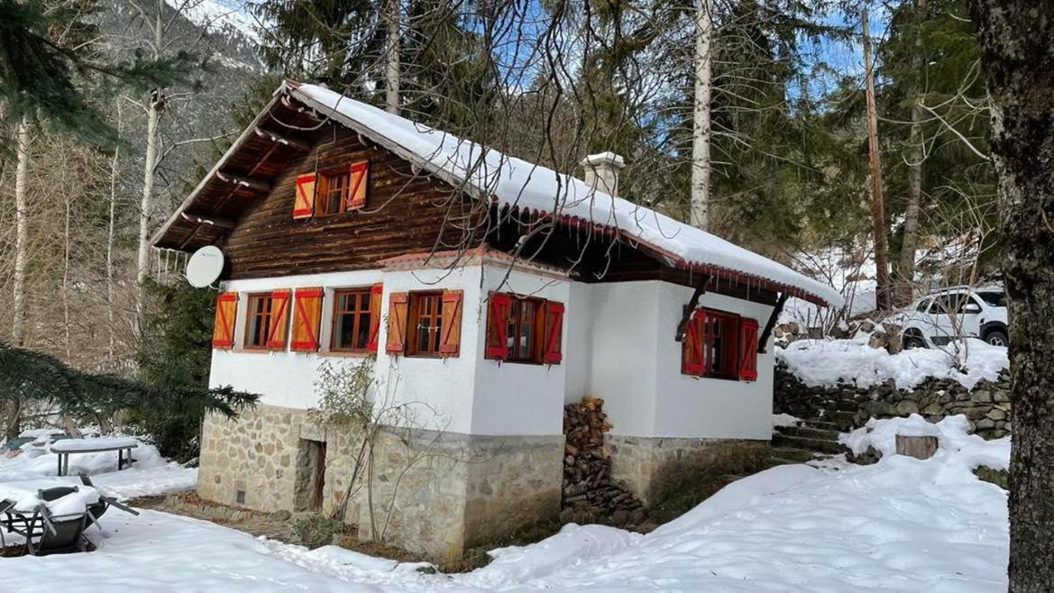 Chalet Le Tyrolien, au coeur du Boréon Saint-Martin-Vésubie Exterior foto
