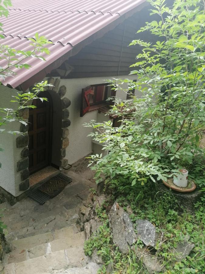 Chalet Le Tyrolien, au coeur du Boréon Saint-Martin-Vésubie Exterior foto